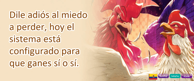 Cashback Semanal